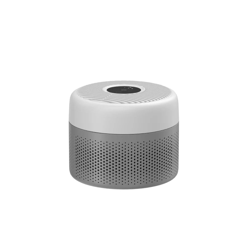 Portable Air Purifier
