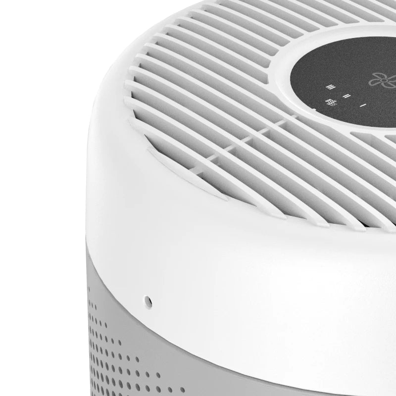 Portable Air Purifier